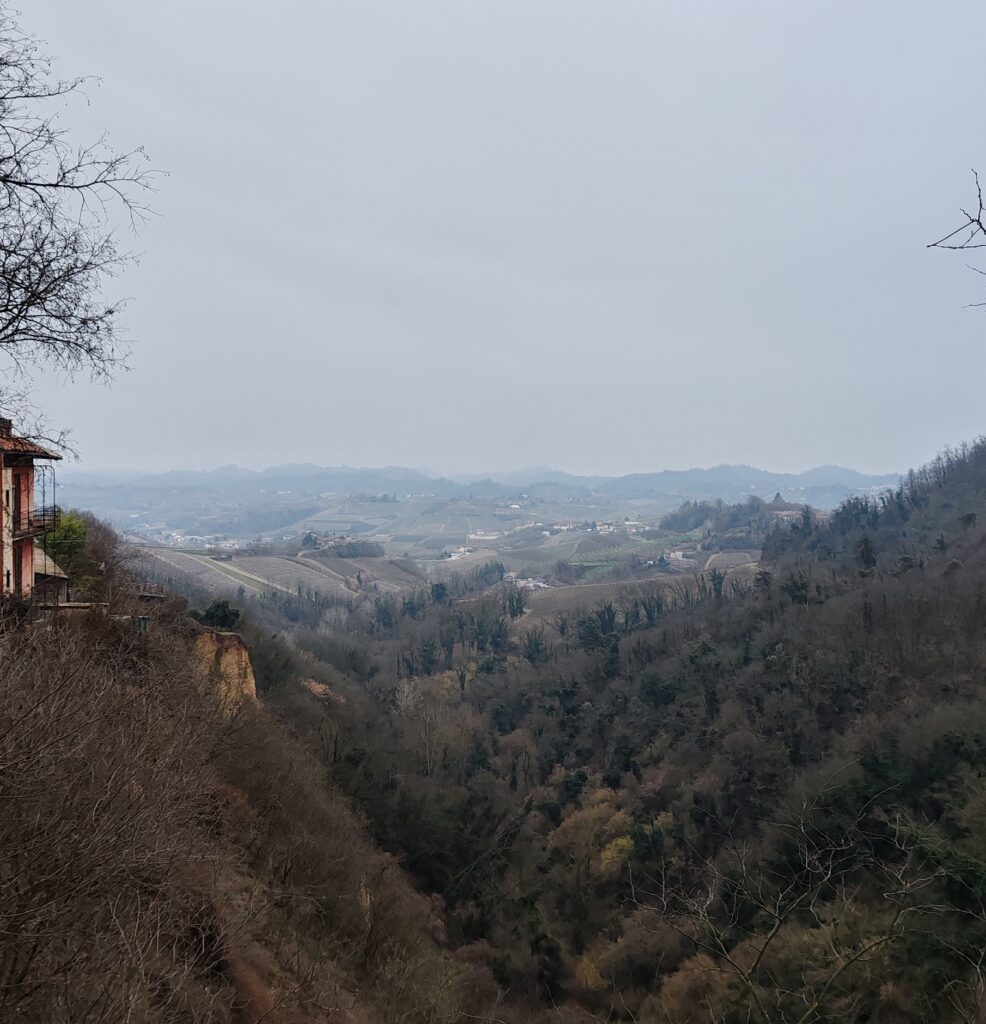 View from Roero